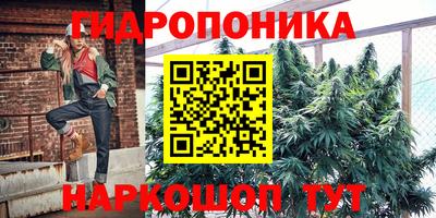 СК Кандалакша